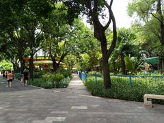 -晓港公园