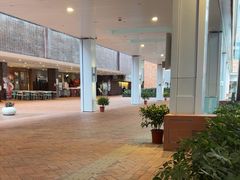 -香港大学