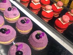 -解放碑威斯汀酒店-知味国际美食餐厅