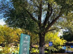 -长春世界雕塑园冰雪艺术天地