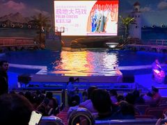 -海合安武汉极地海洋公园