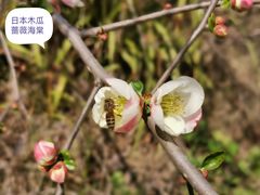 -杭州植物园