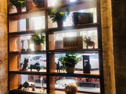 -T.1 hair salon烫染接发