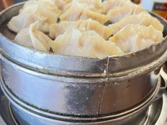 羊肉饺子-老马家蒸饺(南海街店)