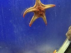 -合肥海洋世界