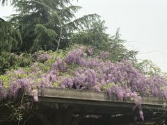 -白塘生态植物园