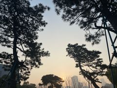 -龙华寺