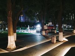 -西北湖绿化广场