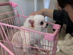 -怪兽屋·羊驼·猫咖·狗咖(俊华广场店)