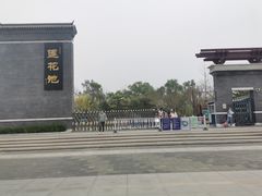 -莲花池公园