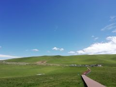 -郭莽湿地