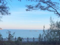-宋井风景区