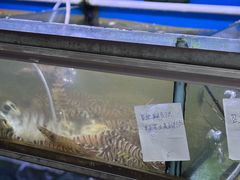 -富来美食(成发大厦店)