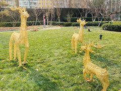 -北京希尔顿逸林酒店-逸轩西餐厅-自助餐厅