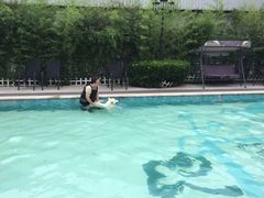 -汪说喵讲宠物乐园宠物酒店(红星美凯龙店)