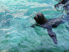-珠海长隆海洋王国