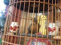 -清真·二嫂子煎饼果子(鼓楼旗舰形象店)