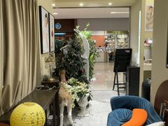 -海马体照相馆(佛山岭南站店)