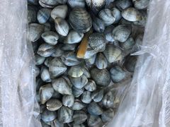 -红树林天天赶海