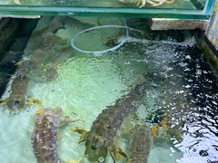 -班赞海鲜市场