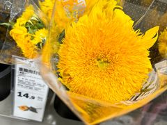-鹿岛生活(熙地港店)