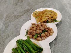 -朱记乳鸽王·非遗石岐乳鸽·全鸽宴(大兴旗舰店)