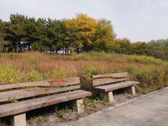 -翠湖国家城市湿地公园