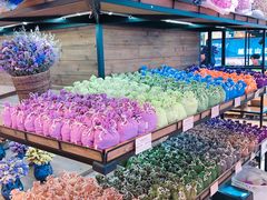 -L.C FLORA花予你(城西银泰城店)