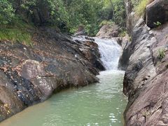 -广州白江湖森林公园