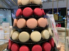 -PAUL LAFAYET 法式甜品(港汇广场店)