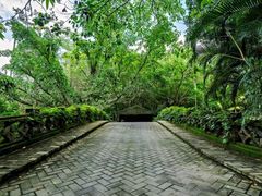 -呀诺达热带雨林