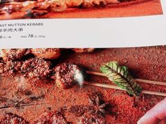 -紫光园(劲松店)