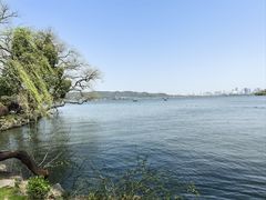 -浙江西子宾馆·牡丹厅