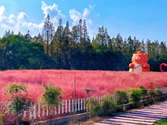 -嘉北郊野公园