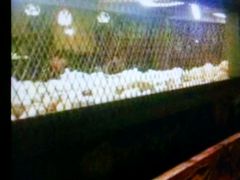 -大碗厨 25年老字号 现炒湘菜(四季天地店)