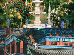 -金庸书院
