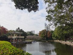 -晓港公园