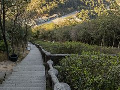 -梧桐山风景名胜区