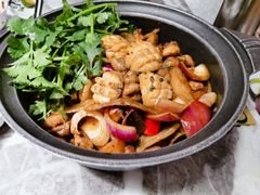 -禄婶鸡煲·打边炉