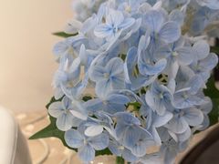 -毛家饭店·30年融合新湘菜(汉峪金谷店)