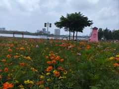 -顺峰山公园