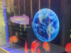 -康熙养生SPA·轻奢足道(江宁万达店)