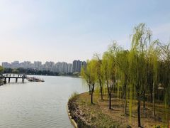 -南翔镇银翔湖公园
