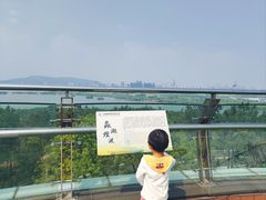 -宝界山林公园