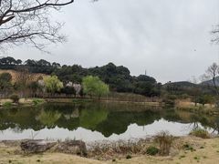 -龙坞茶村