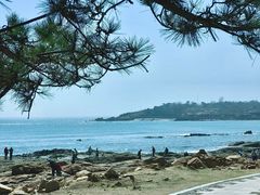 -青岛第三海水浴场
