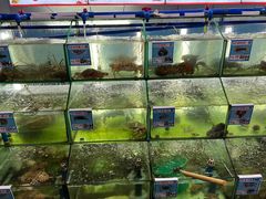 水产区-三亚老渔民海鲜店