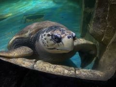 -多彩贵州城极地海洋世界