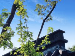 -龙华寺