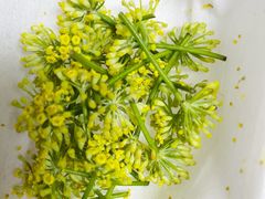 -世纪联华超市(浦电路店)